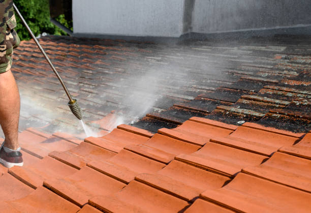 Best Affordable Pressure Washing  in Fort Benton, MT