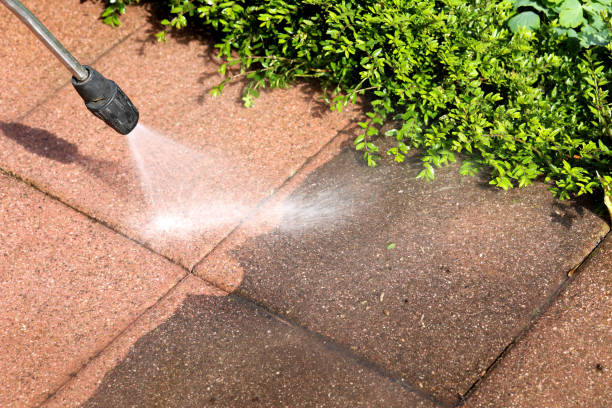 Best Local Pressure Washing Services  in Fort Benton, MT